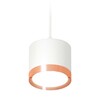 Миниатюра фото комплект подвесного светильника ambrella light techno spot xp (a2331, c8110, n8126) xp8110012 | 220svet.ru