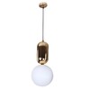 Миниатюра фото подвесной светильник loft it parachilna 9974-b | 220svet.ru