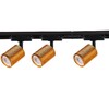 Миниатюра фото трековый светильник favourite imago 4020-3u | 220svet.ru