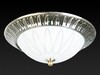 Миниатюра фото накладной светильник toplight paulina tl5050y-02ab | 220svet.ru