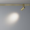 Миниатюра фото трековый магнитный светодиодный светильник maytoni focus led flarity tr144-1-12w4k-w-bs | 220svet.ru