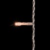 Миниатюра фото гирлянда занавес 1 x 9 м экстра тепло-белый 220в, 900 led, провод прозрачный пвх, ip54 ltc pcl901-10-2eww | 220svet.ru