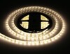 Миниатюра фото светодиодная влагозащищенная лента теплый белый ambrella light 14,4w/m 60led/m 5050smd 3000к 5m gs2101 | 220svet.ru