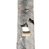 Миниатюра фото подвесной светильник favourite leaftube 4803-1p | 220svet.ru