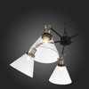Миниатюра фото подвесная люстра st luce evoluto sl237.413.05 | 220svet.ru