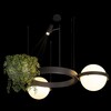 Миниатюра фото подвесной светильник loft it jardin 10121/2 dark grey | 220svet.ru