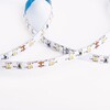 Миниатюра фото светодиодная лента elektrostandard 4,8w/m 60led/m 2835smd холодный белый 5m a049837 | 220svet.ru