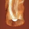 Миниатюра фото подвесной светильник freya curl fr5624pl-l9yw | 220svet.ru