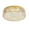 Миниатюра фото потолочный светильник newport 8246/pl gold new м0067978 | 220svet.ru