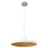 Миниатюра фото подвесной светильник loft it loft1844/c | 220svet.ru