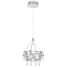 Миниатюра фото подвесной светодиодный светильник divinare rotondo 1019/02 sp-28 | 220svet.ru