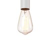 Миниатюра фото подвесной светильник loft it tails loft1510wh | 220svet.ru