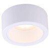 Миниатюра фото потолочный светильник arte lamp effetto a5553pl-1wh | 220svet.ru